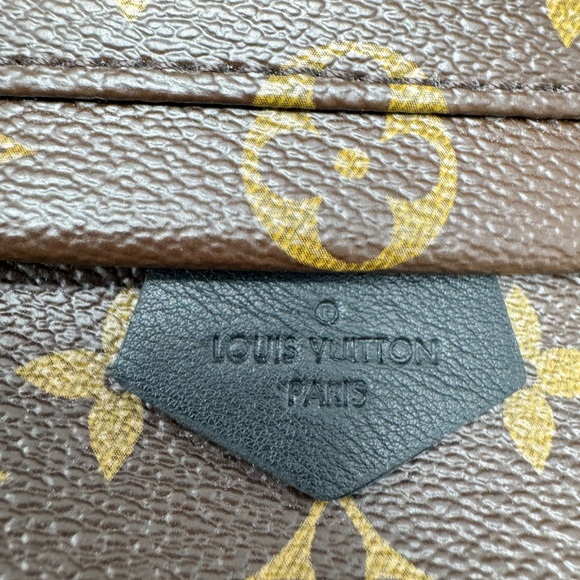 Louis Vuitton Palm Springs Mini Backpack - Picture 9 of 10